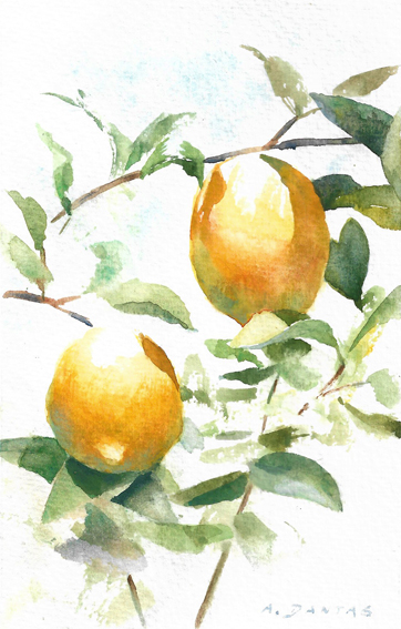 Original floral watercolor painting of golden lemons among leaves on cotton paper.